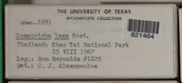 Image Associated With the Occurence
